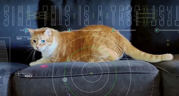 Film z kotem Tatersem został wysłany w kosmos