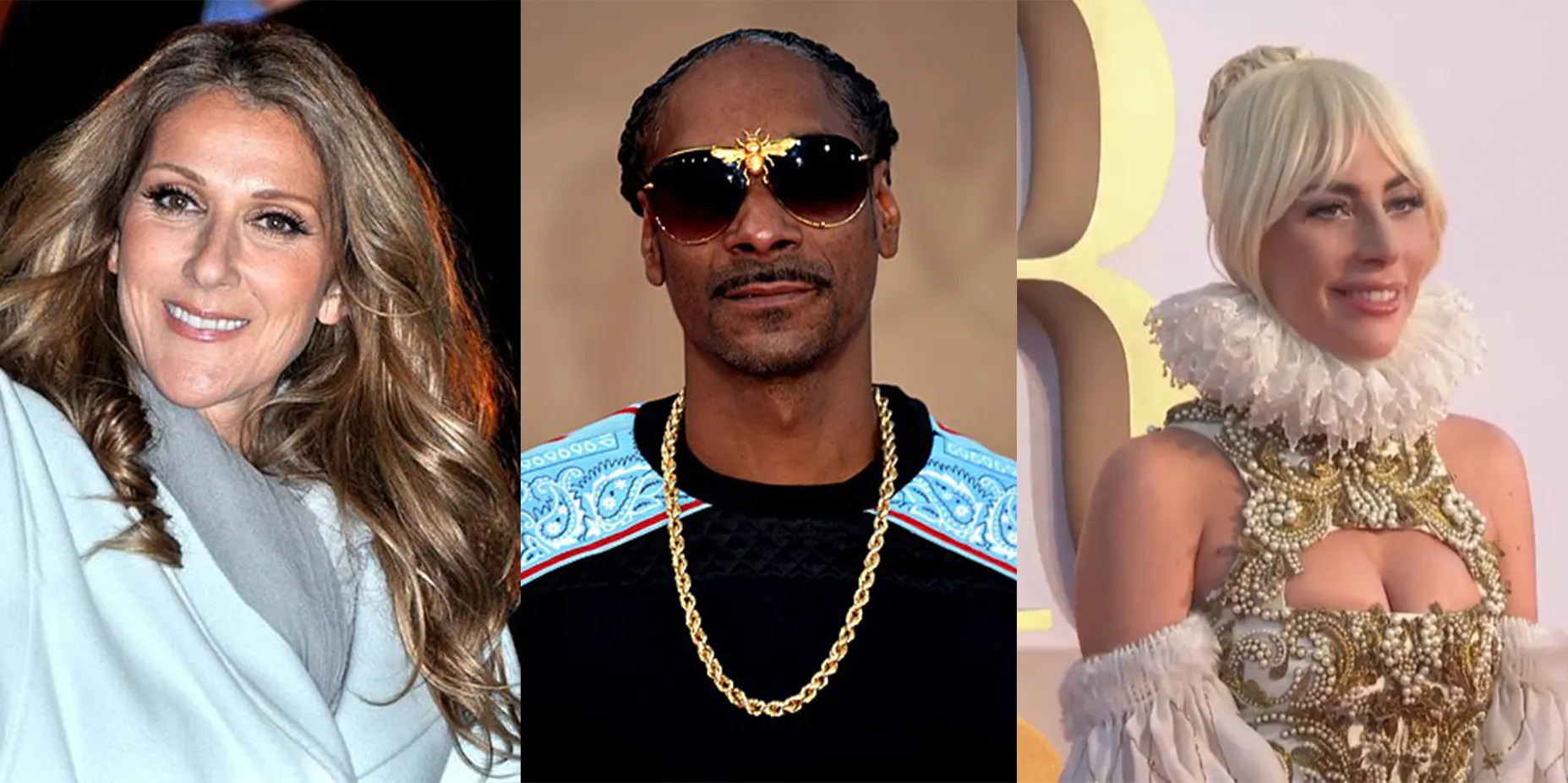 Céline Dion, Snoop Dogg, Lady Gaga