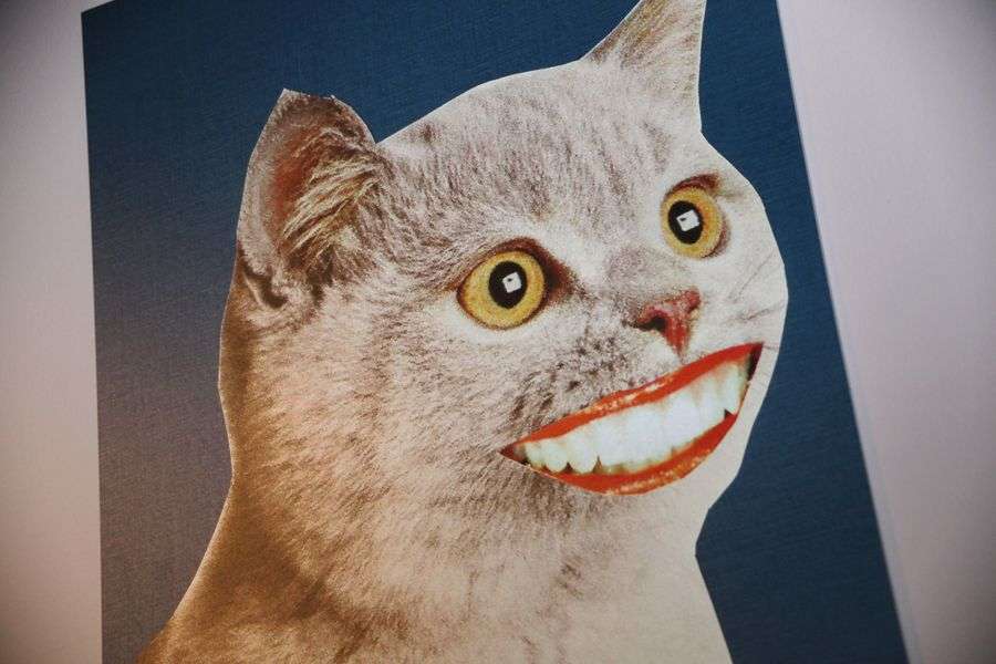 Wisława Szymborska tworzyła wspaniałe kolaże. Czarny humor noblistki zachwyca.