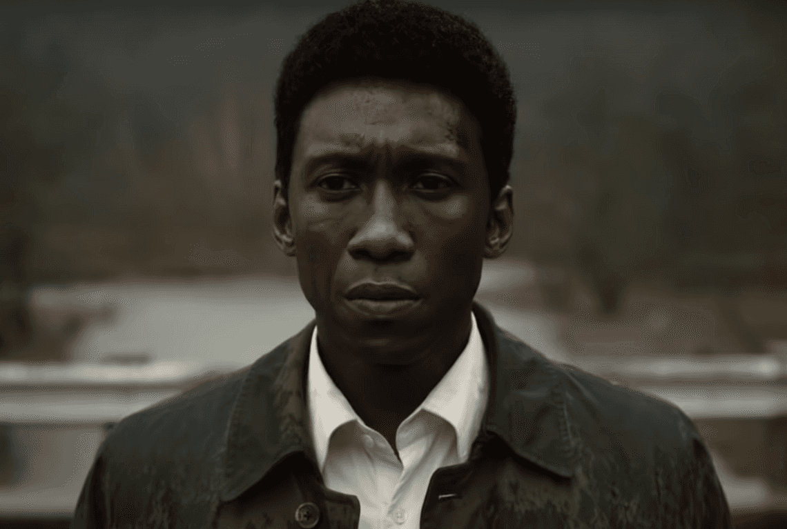 Jest trailer 3. sezonu "True Detective". Serial wraca wraca do swoich mrocznych korzeni [wideo]