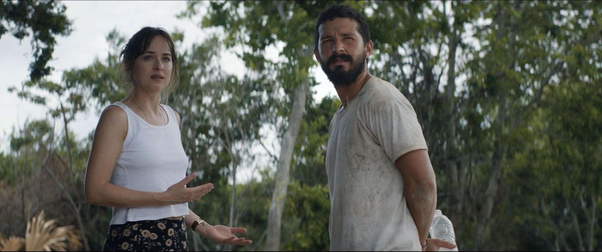 Shia LaBeouf i Dakota Johnson w rozczulającym komediodramacie "Sokół z masłem orzechowym". Film od 3 stycznia w kinach