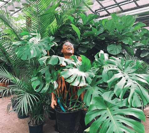 Magiczna strona roślin. Jaki wpływ mają rośliny na nasze zdrowie psychiczne i fizyczne?