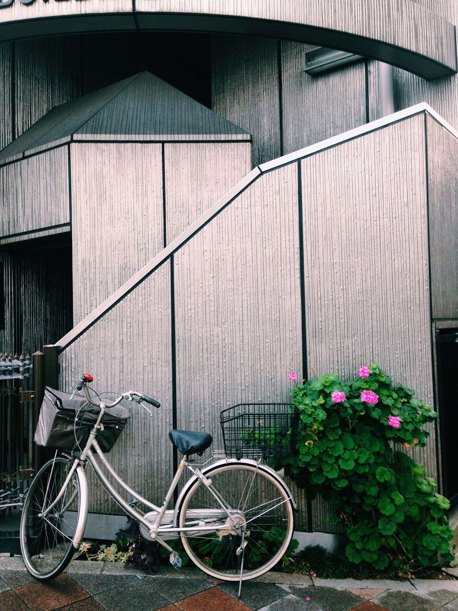 Kultowe rowery Embassy inspirowane kalifornijskimi cruiserami do wygrania z Activią. Sprawdźcie, co trzeba zrobić