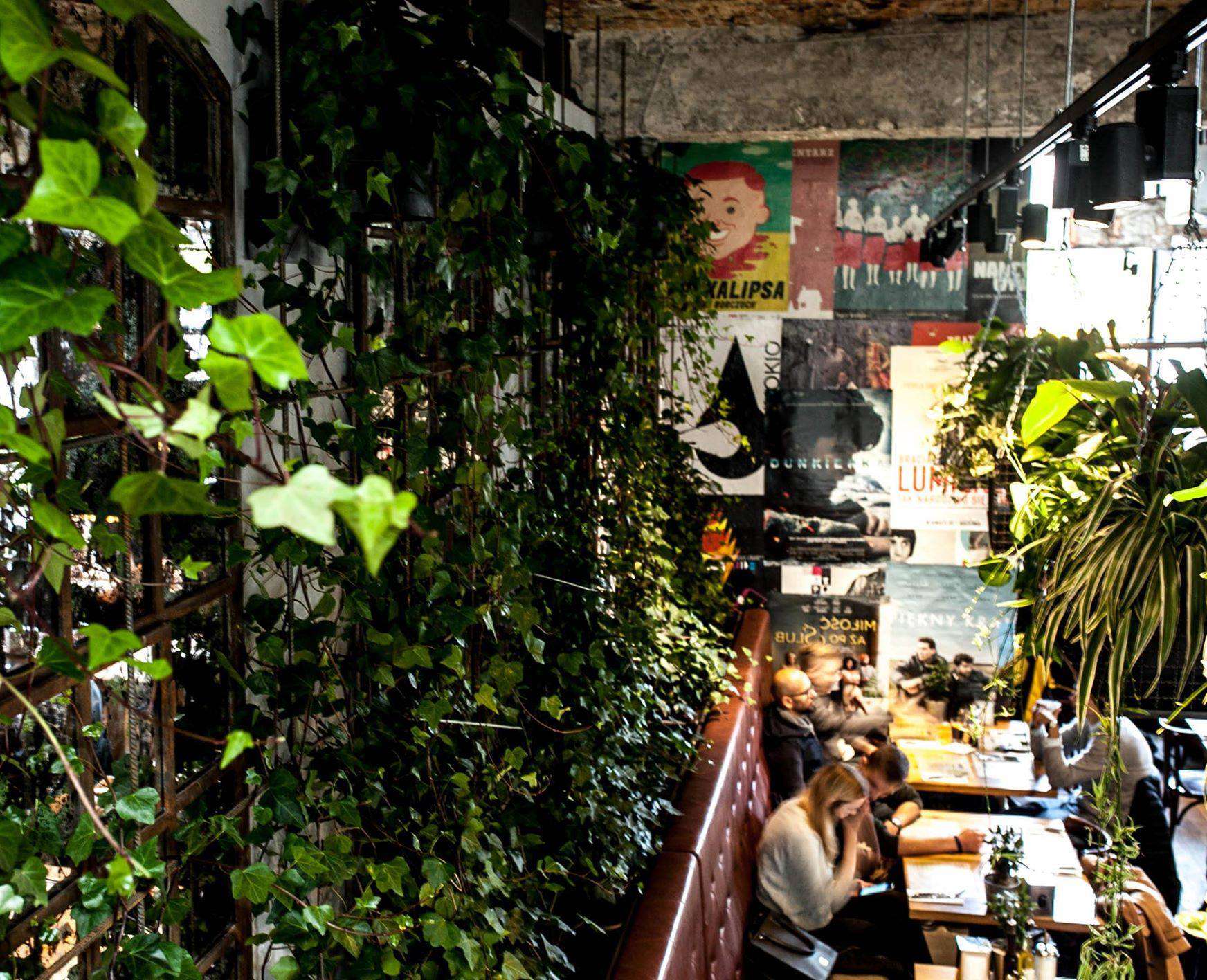 Najbardziej zielona restauracja w Polsce otwiera się w kolejnej lokalizacji. To już jej piąta filia