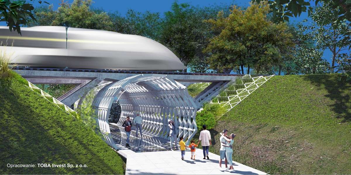 Zielone Szlaki Warszawy. Jest pomysł stworzenia gigantycznej ścieżki łączącej wszystkie parki