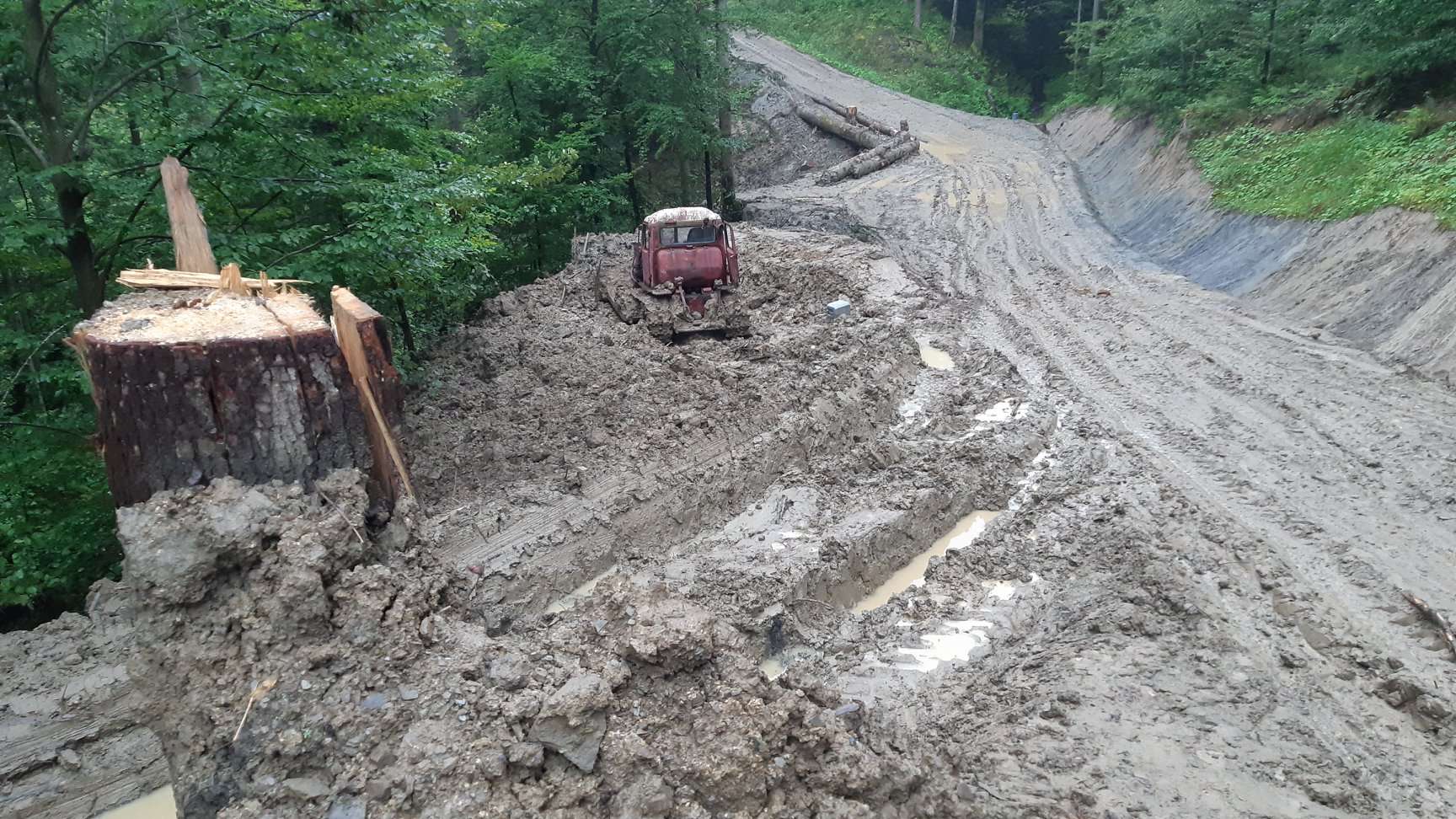 Trwa wycinka Puszczy Karpackiej. Lasy Państwowe nie przewidują kompromisu
