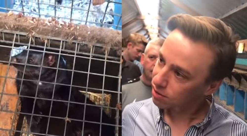 Krzysztof Bosak odwiedził fermę norek, by udowodnić, że są szczęśliwe