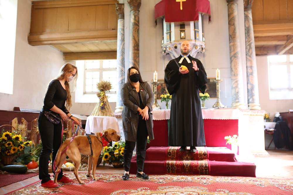 W czasie mszy w Łęgutach ksiądz przedstawił bezdomnego psa do adopcji