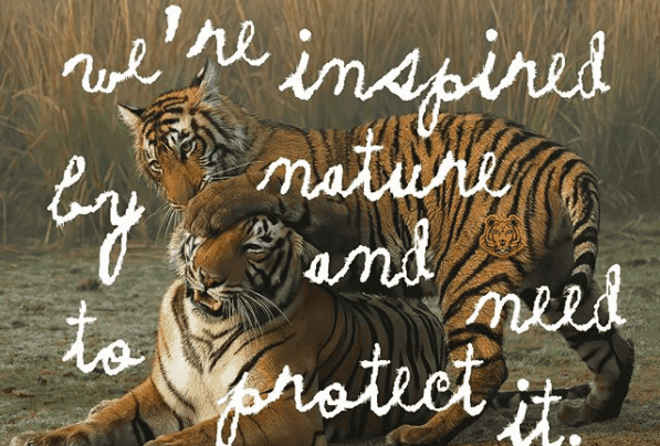 Kenzo debiutuje z nowym logiem wspierając wzrost populacji dzikich tygrysów