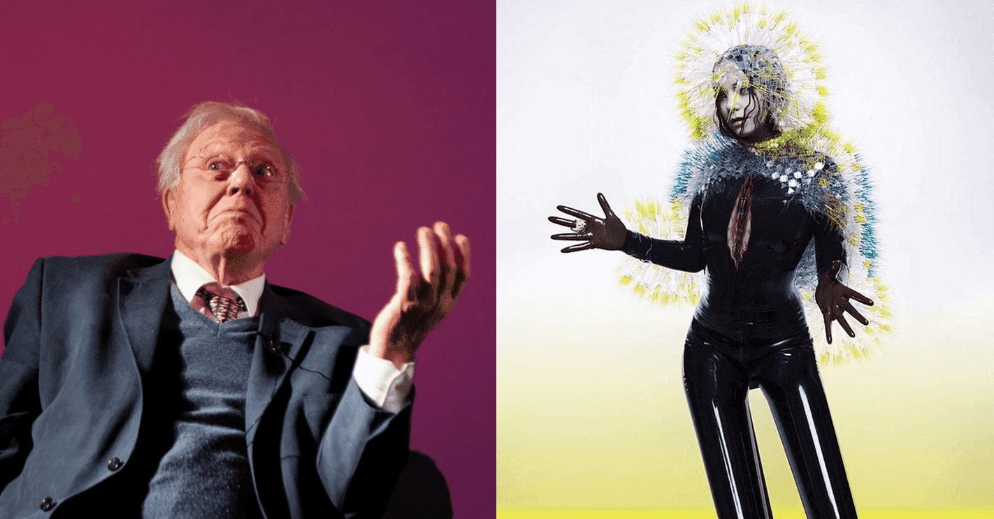 Sir David Attenborough fanem Björk? Słynny biolog wspomina spotkanie z artystką