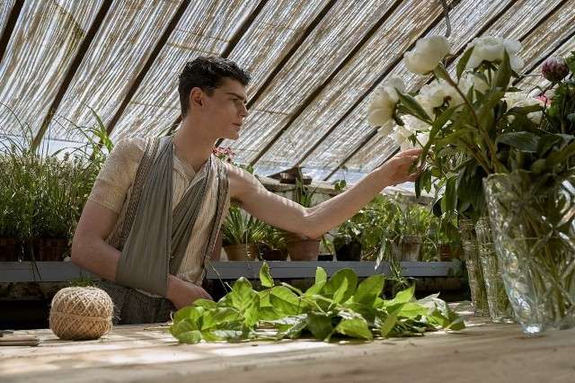 Film Agnieszki Holland czeskim kandydatem do Oscara