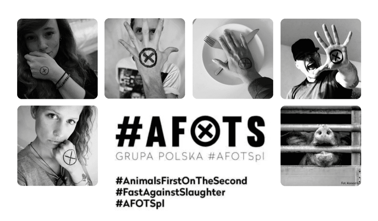 #AFOTS to solidarność ze zwierzętami transportowanymi na rzeź. Do międzynarodowej akcji może dołączyć każdy