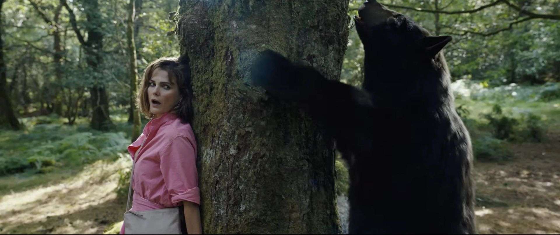 „Kokainowy miś” to najbardziej szalony film roku? Jest inspirowany prawdziwą historią [zwiastun]