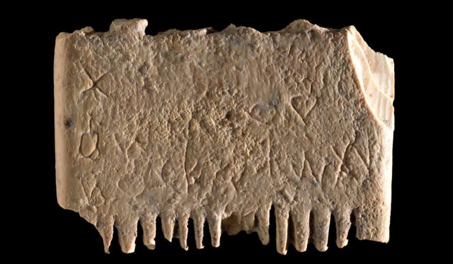 Rozszyfrowano najstarsze zapisane zdanie świata. Dotyczy pasożyta