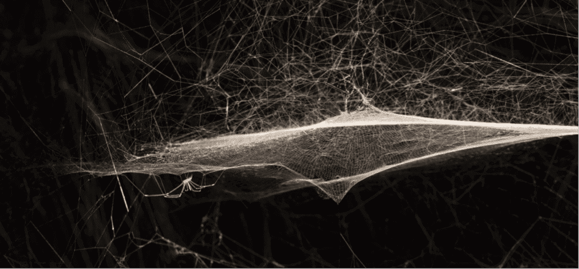 Kurz, pająki i gleba – z tych materiałów tworzy Tomás Saraceno. Artysta, który „ma największe szanse zmienić świat”