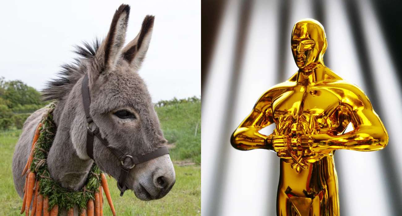 Oscary 2023 – na short liście jest polskie nazwisko!