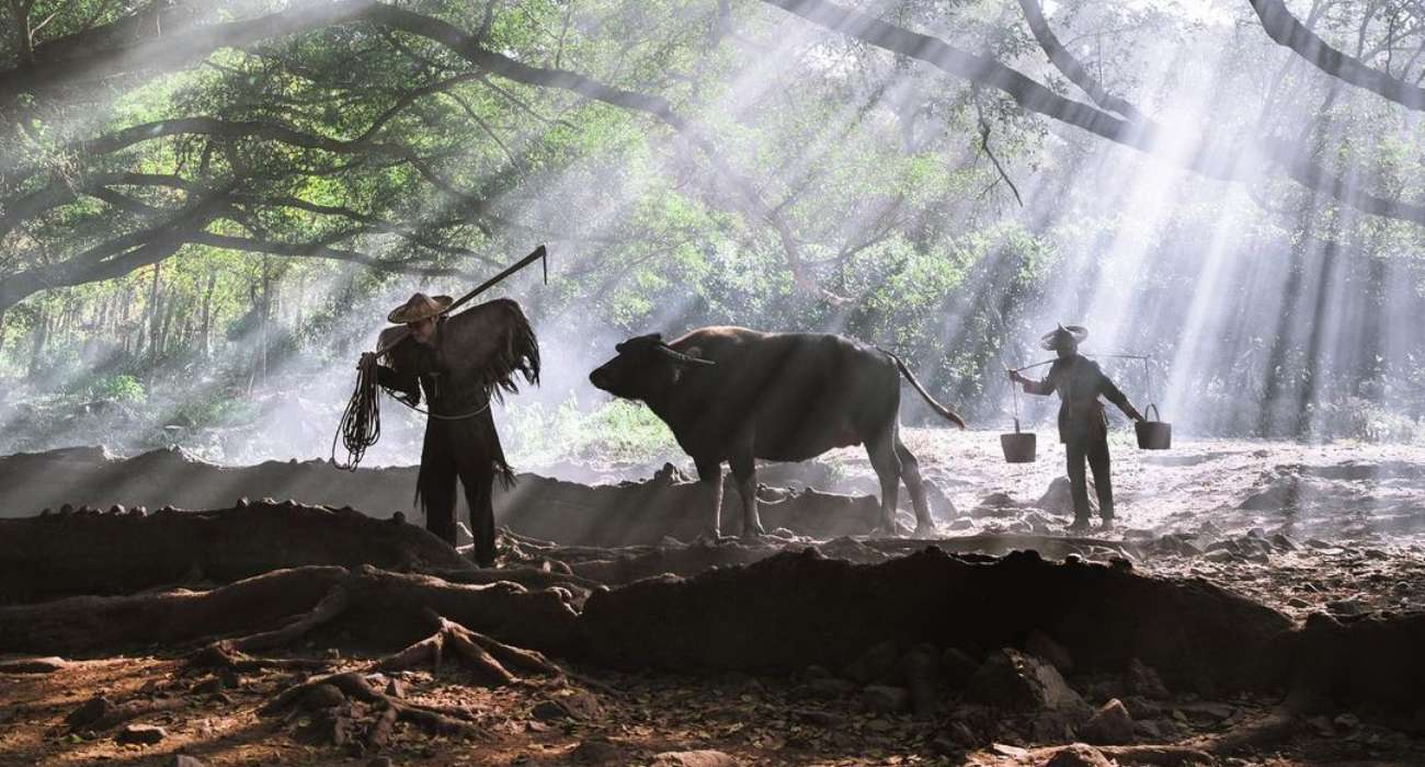 W chińskim miasteczku aktorzy udają farmerów, aby turyści mogli zrobić idealne zdjęcia na Instagram