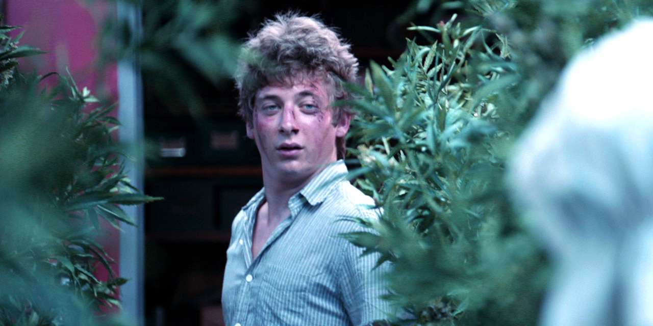 Tester marihuany poszukiwany! Wypłata? 8 tysięcy euro