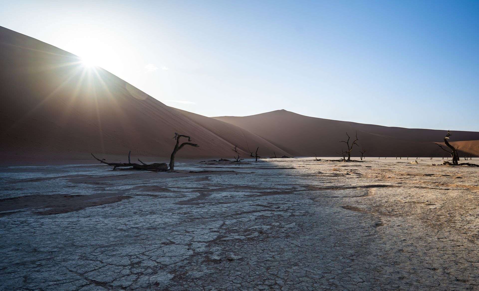 Grozi nam susza – kolejny rok pożarów i braku wody