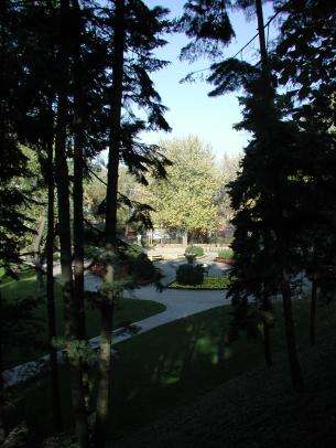 Warszawa w czołówce światowego rankingu miast idealnych na spacer