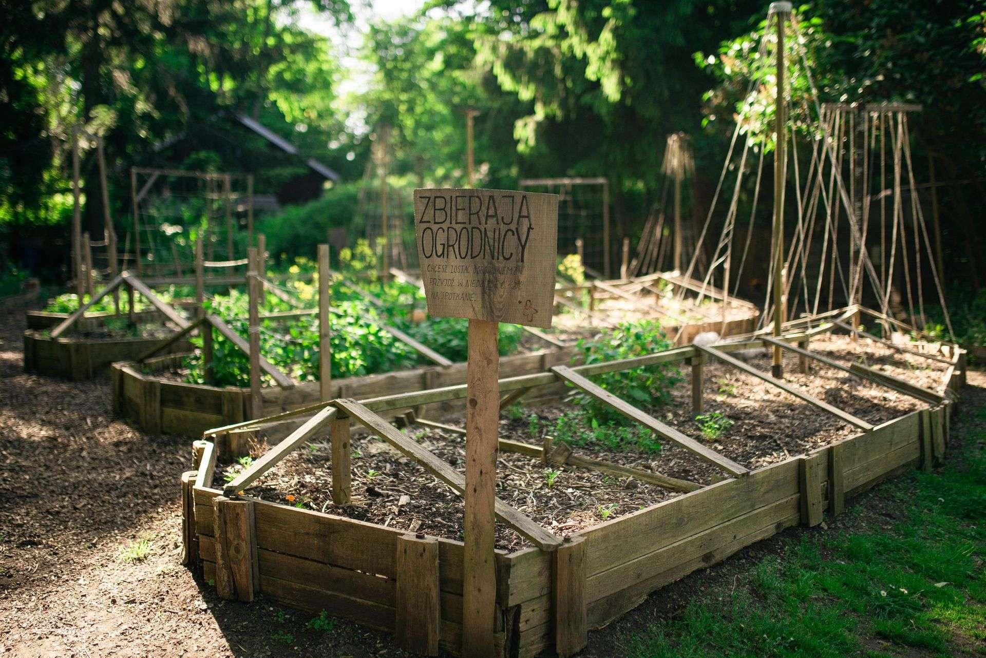 Lato w mieście, zaprasza prawie 80-letnie Osiedle Jazdów. Codziennie inny temat i inna aktywność w jednym z najurokliwszych miejsc