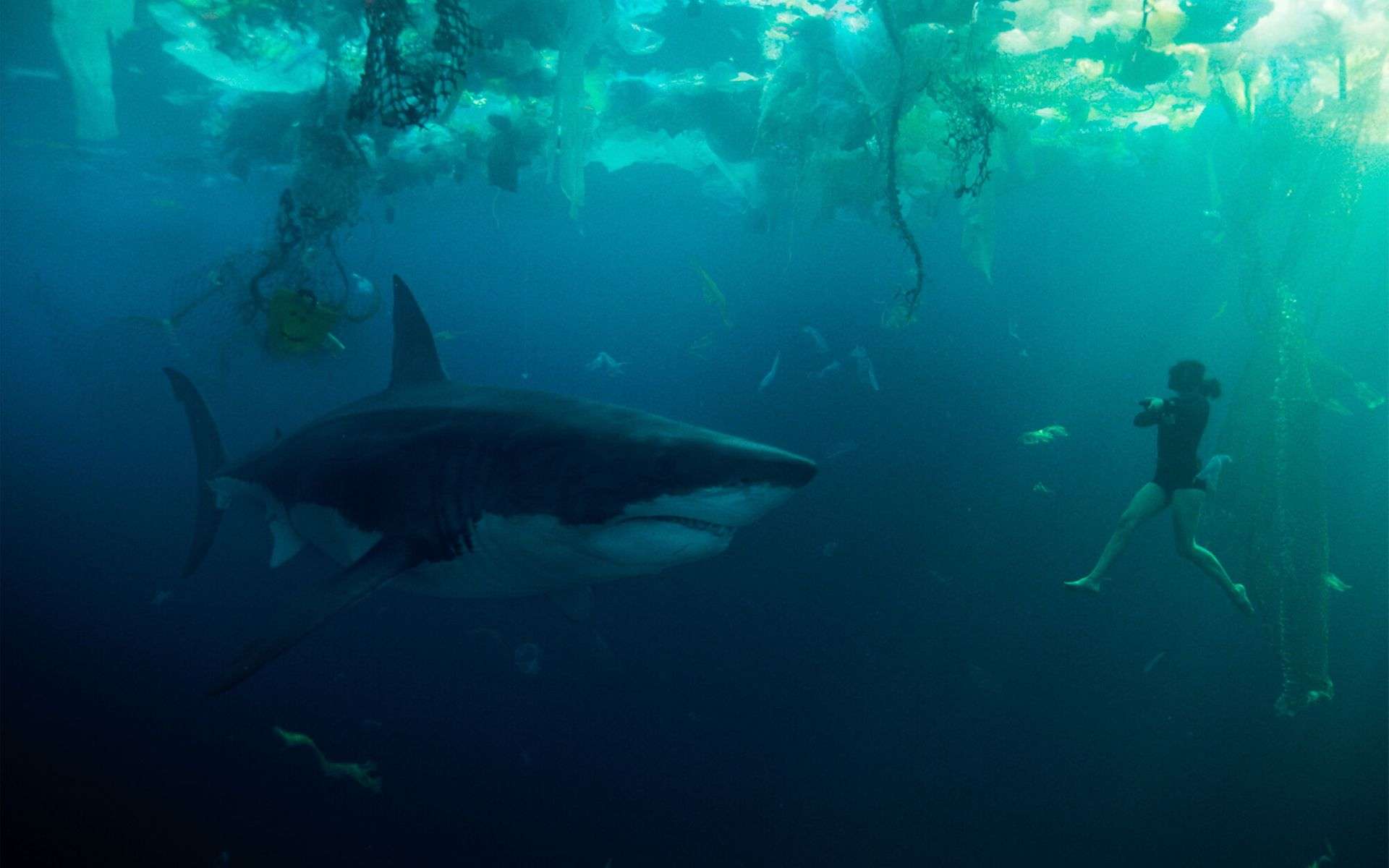 Blisko 100 mln widzów. Ten film pobił wszystkie rekordy Netfliksa