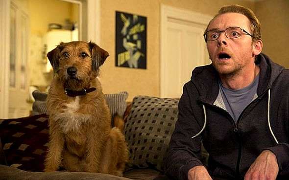 L4 na zwierzaka. Radny Nowego Jorku chce płatnych zwolnień dla posiadaczy zwierząt domowych