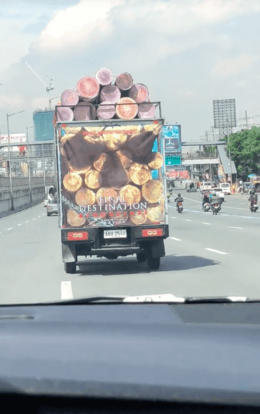 Ciężarówka z drewnem reklamuje nowe „Oszukać przeznaczenie”. Ta kultowa scena straumatyzowała pokolenia [WIDEO]