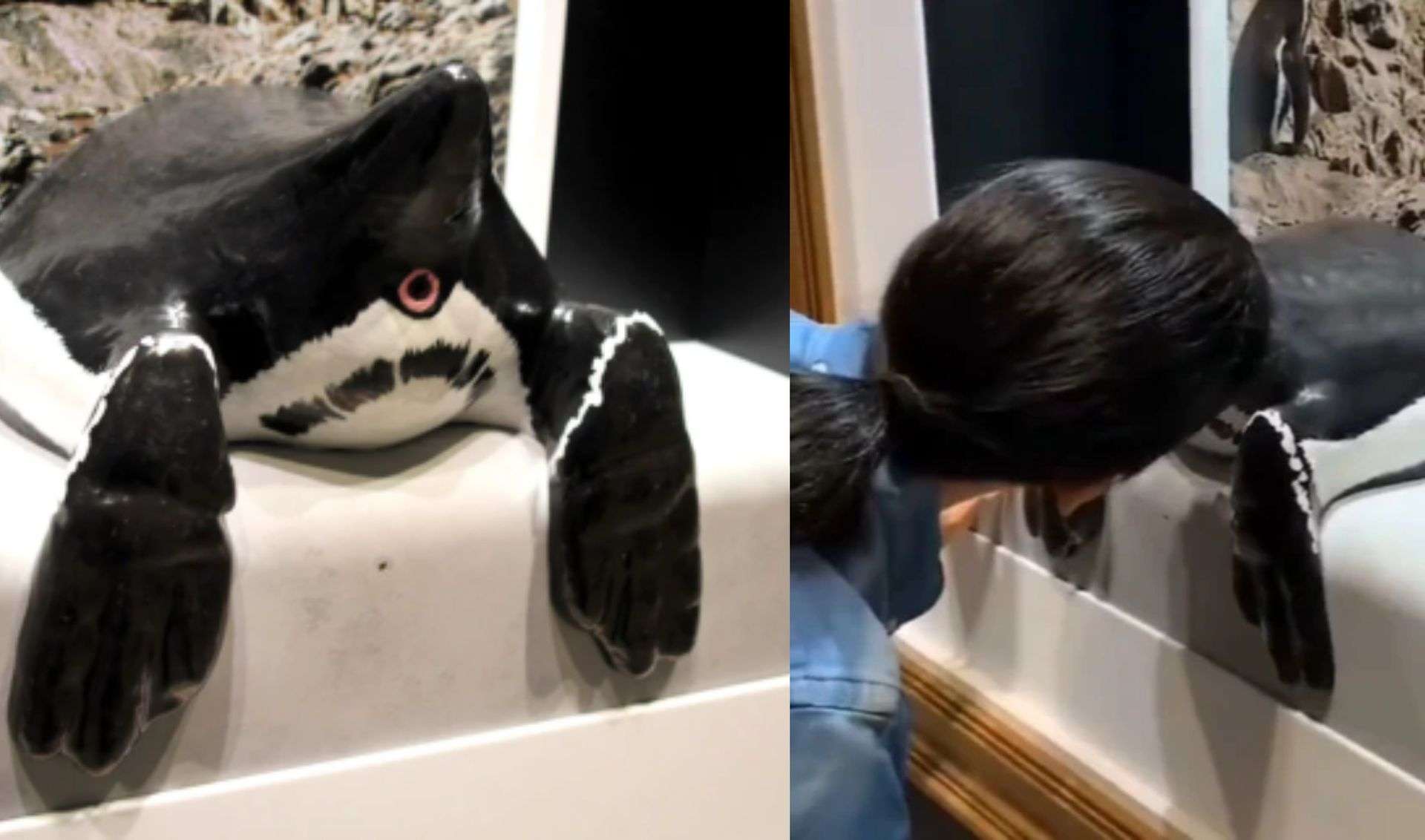 W Japonii otwarto muzeum z zapachami zwierzęcych odbytów. Chętnych nie brakuje [WIDEO]