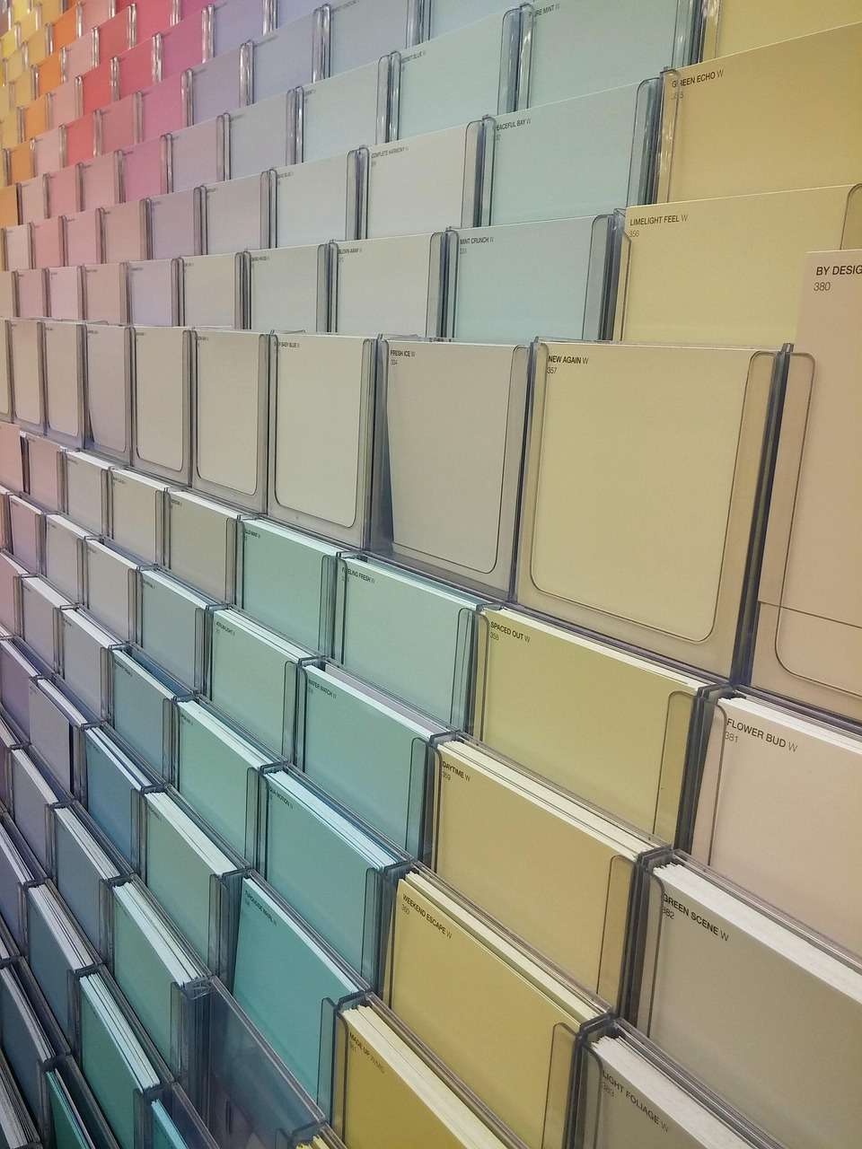 Świat blaknie do szarości – czemu kolor znika z naszego otoczenia