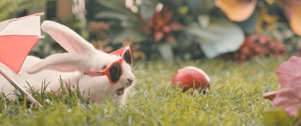 Ministerstwo Zdrowia zachęca, byśmy kopulowali jak króliki. Wideo wzbudziło duże kontrowersje