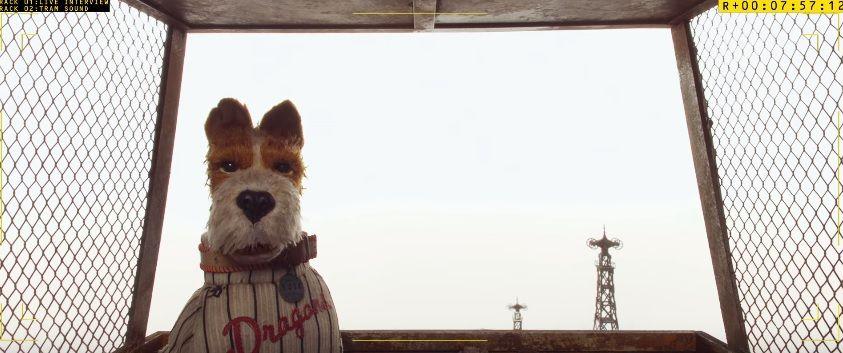 Zobaczcie przeuroczy wywiad z bohaterami najnowszego filmu Wesa Andersona