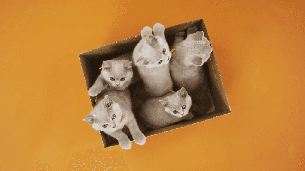 Netflix wymienił obsadę swoich topowych seriali. Efekt jest komiczny i przesłodki