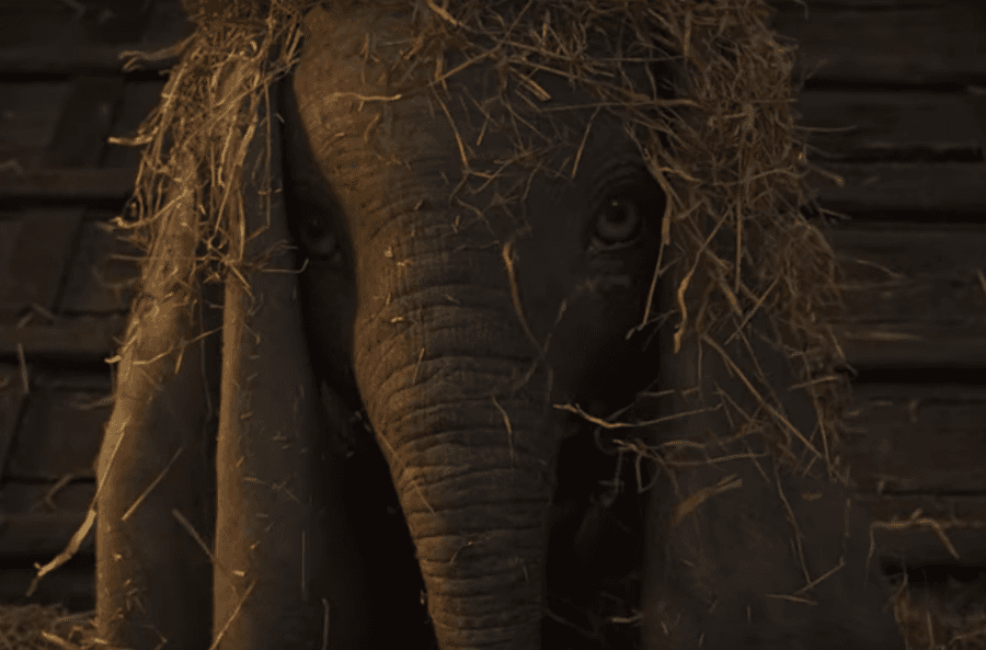Tim Burton wraz z Disneyem stworzył adaptację Dumbo z aktorami. Mamy trailer