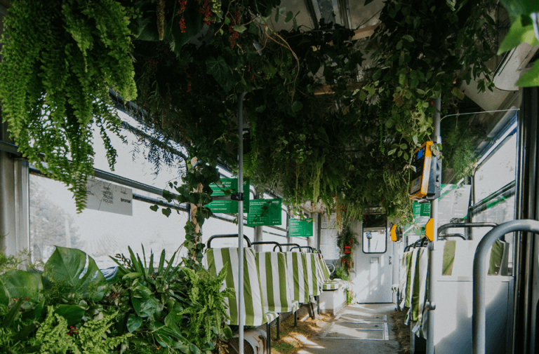 Po Śląsku jeździł tramwaj pełen prawdziwych roślin. Pomagał walczyć ze smogiem