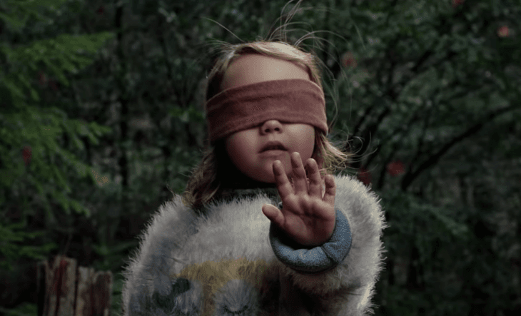 Walka z głupotą trwa: Netflix i YouTube wojują z "Bird Box challenge"