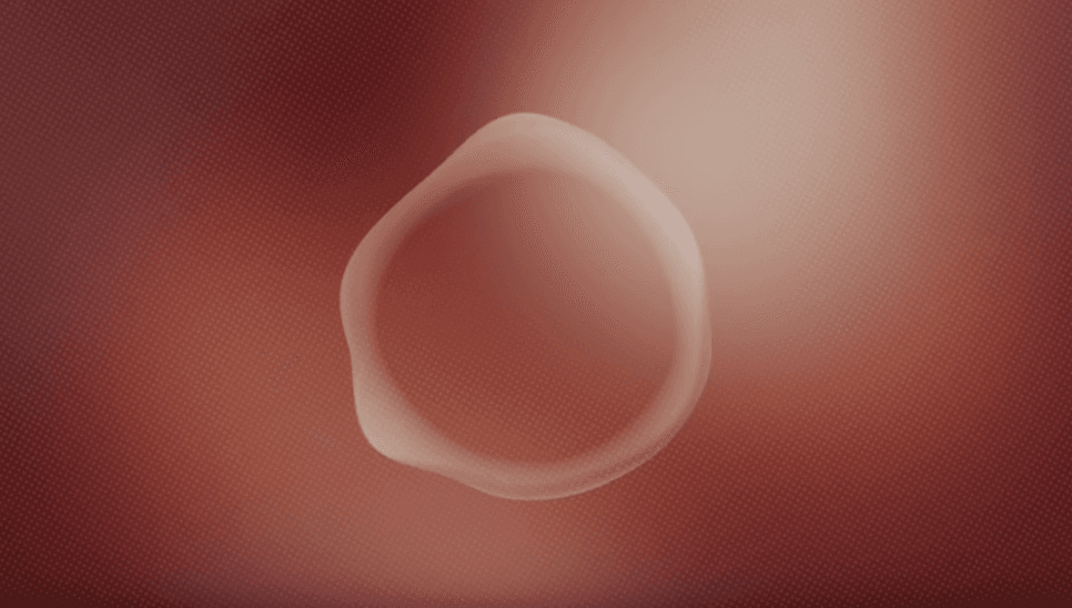 Powstał neutralny płciowo asystent głosowy. Prosi wszystkich o pomoc