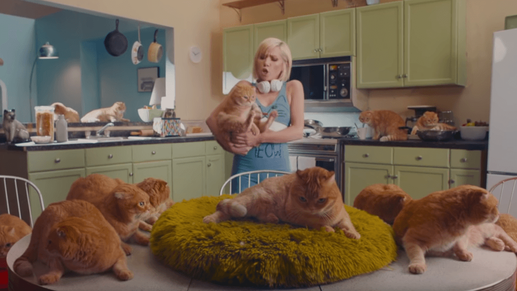 To teledysk dla wszystkich kociar i kociarzy. Autorka "Call Me Maybe" staje się królową guilty pleasure