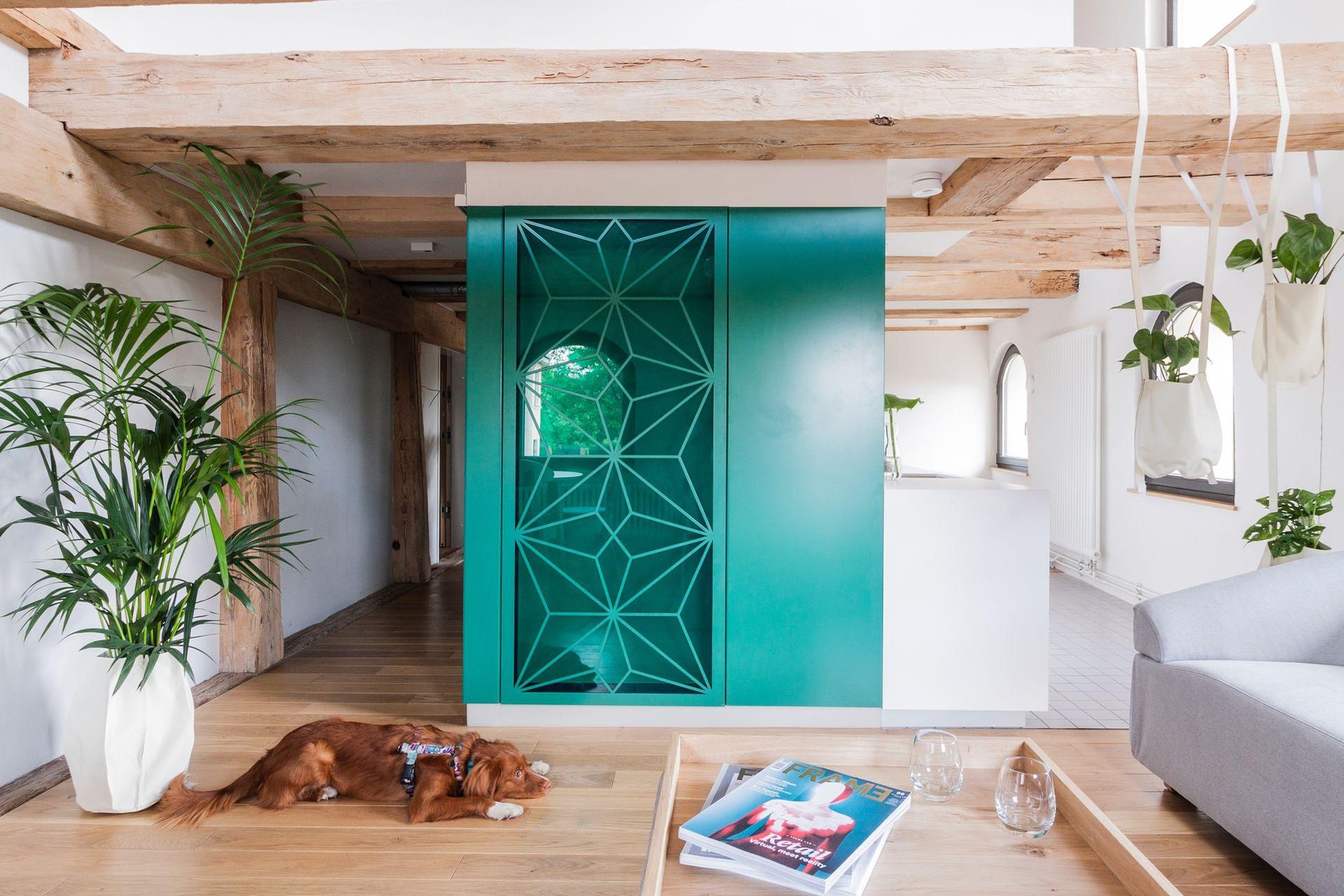 Połączenie nowoczesności z barokiem w niezwykłej realizacji w zabytkowym budynku w Toruniu