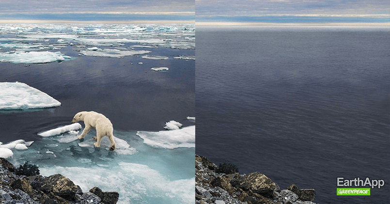 Greenpeace pokazał swoją wersję FaceApp. Efekt jest porażający