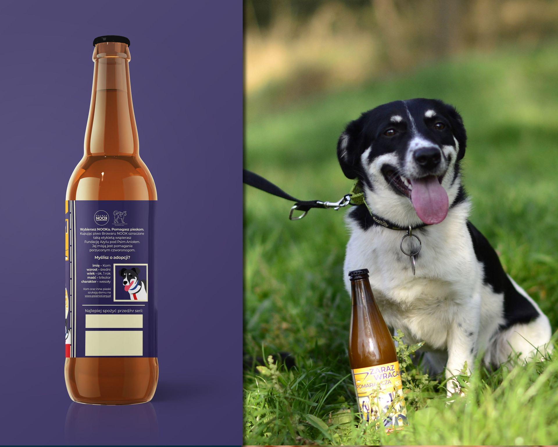 Psy szukające domu na etykietach piwa. To pomoc dla podwarszawskiego schroniska