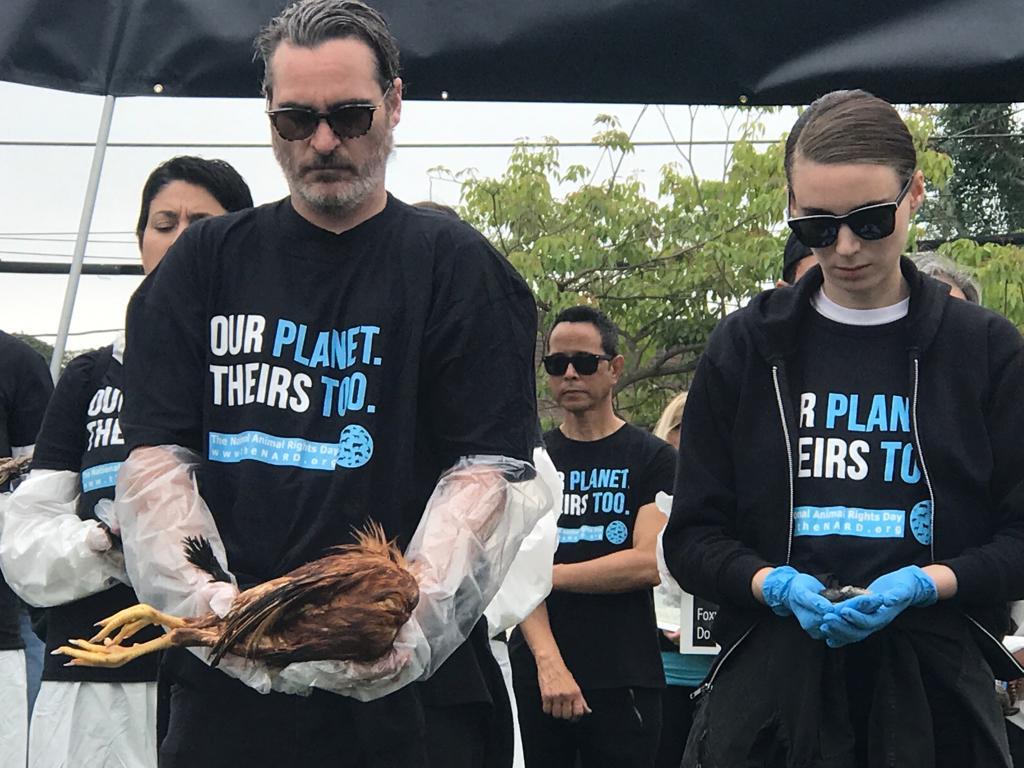 Joaquin Phoenix wyprodukował dokument o życiu zwierząt na farmie. Mamy zwiastun