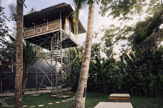 Domki na drzewach, które łączą miejską architekturę z tropikalnym klimatem