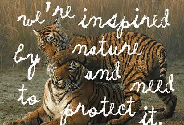 Kenzo debiutuje z nowym logiem wspierając wzrost populacji dzikich tygrysów