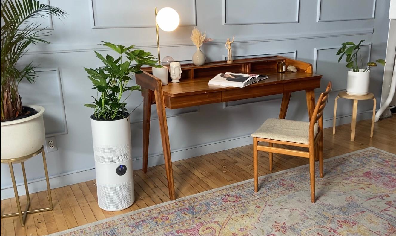 Moc roślin i technologia inspirowana NASA. ARIA to remedium na zanieczyszczone powietrze