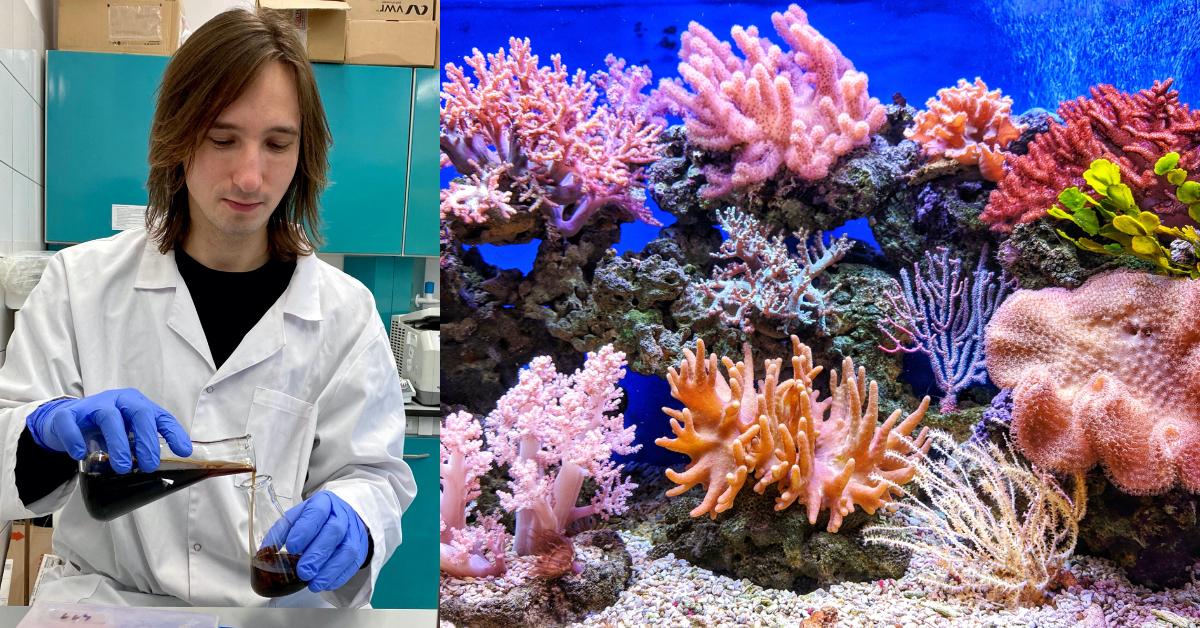Student z Polski odkrył bakterię produkującą naturalny filtr UV. To może uratować koralowce
