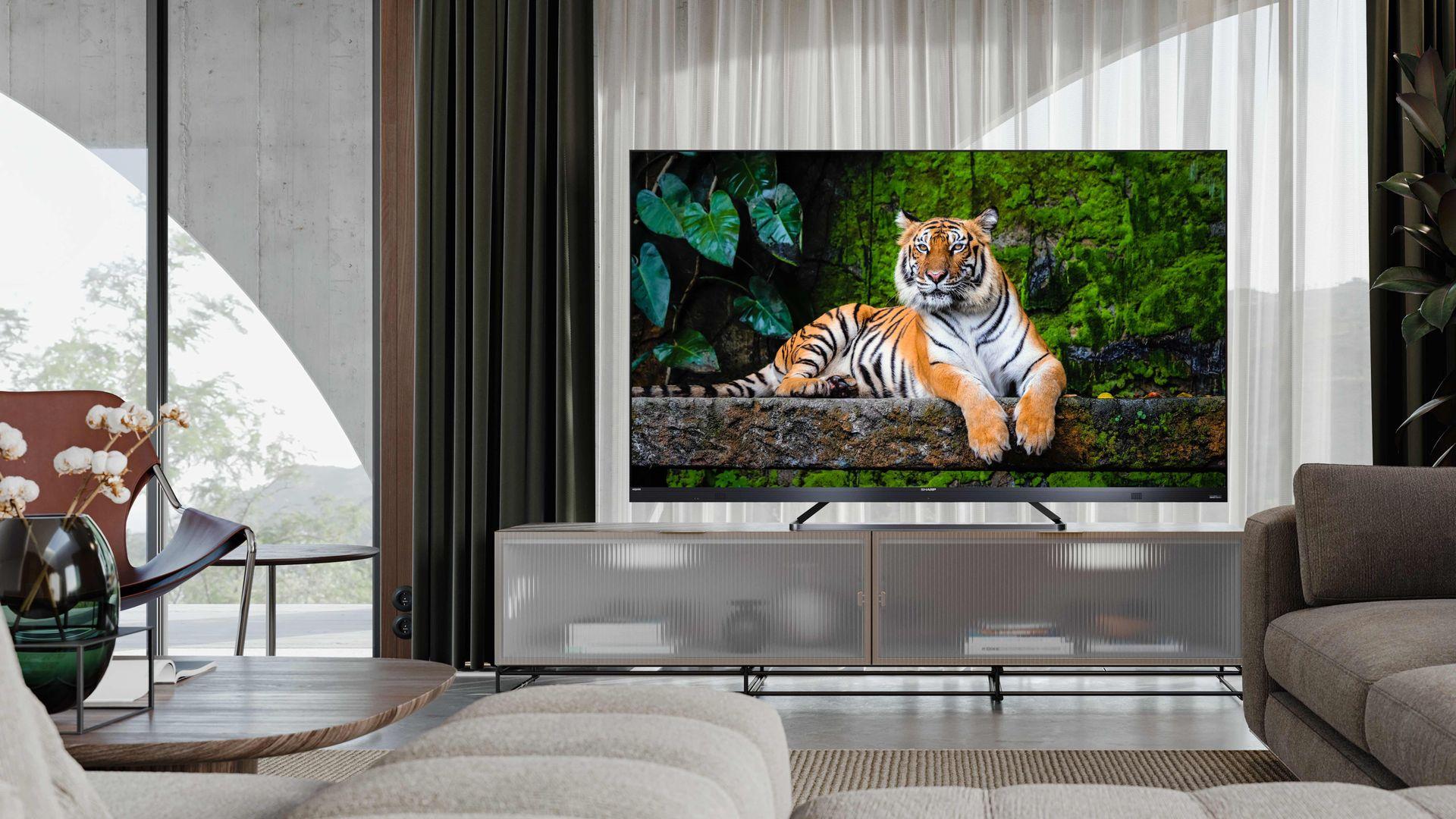 Dla tych, którzy lubią doświadczać. Czas przed telewizorem Sharp AQUOS EQ nie jest stracony