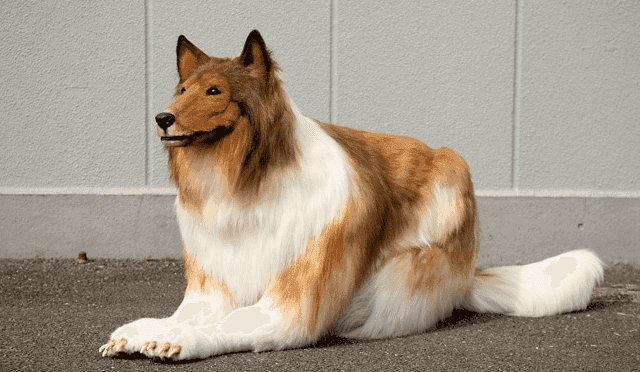 Znudzony byciem człowiekiem postanowił zostać psem