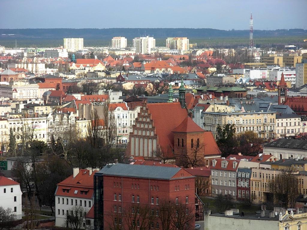 Bydgoskie memy z ulicy