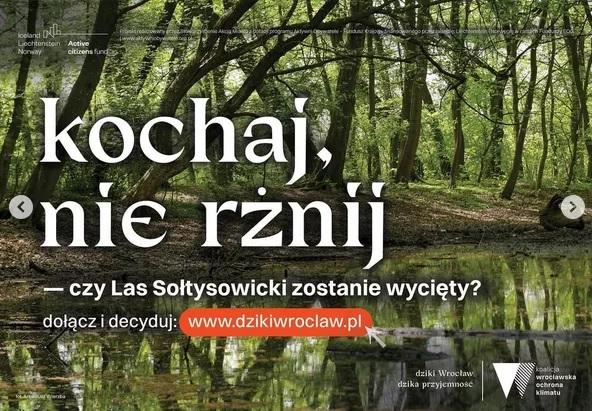 „Kochaj, nie rżnij”, „Chcemy mieć mokro"  - kontrowersyjna kampania Koalicji Wrocławskiej Ochrona Klimatu